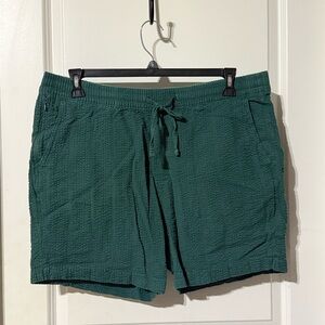 Abercrombie & Fitch Green Flat Front Men Shorts